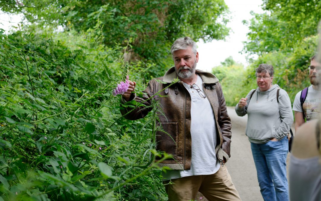 KENT – DEATH DINNER & DRUIDS FORAGING (Iden Green) – July 26th