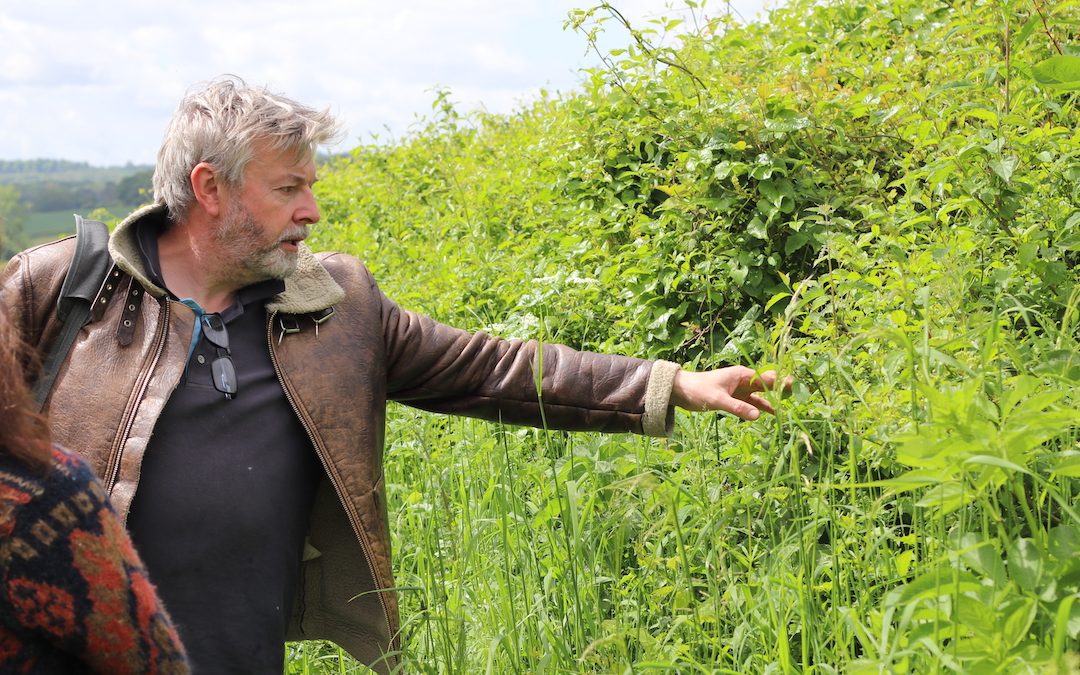 DORSET – DEATH DINNER & DRUIDS FORAGING DORSET (Worth Mertravers) – June 14th