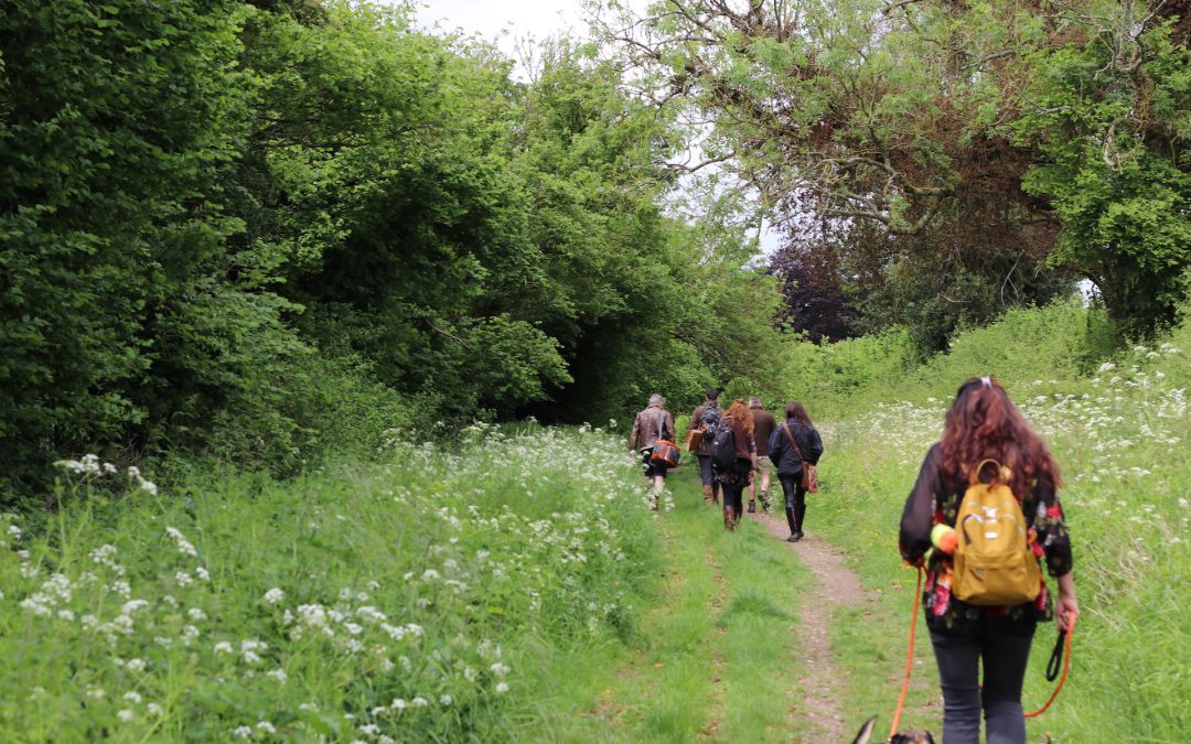 DEATH DINNER & DRUIDS FORAGING HAMPSHIRE (Cheriton) – June 7th Hedgerow Foraging, Wild Food, Wild Medicine and Wild Stories