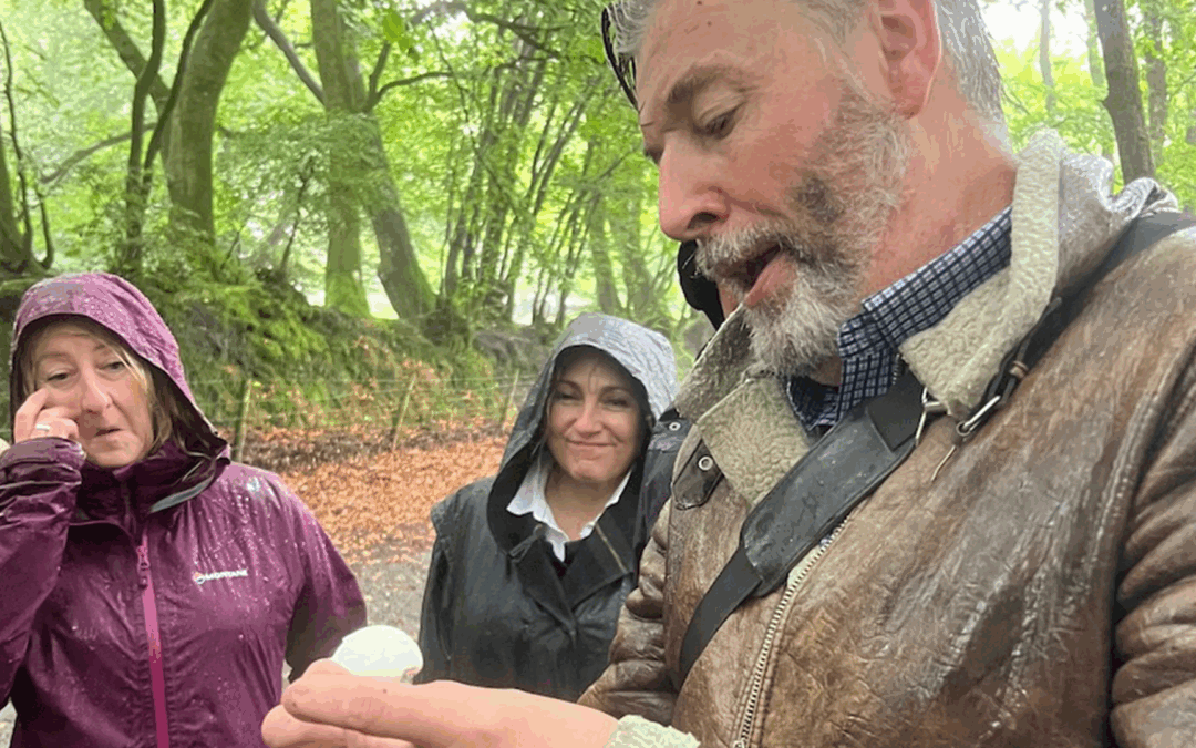 DEATH, DINNER & MUSHROOM MADNESS; CROWCOMBE (Somerset) September 20th