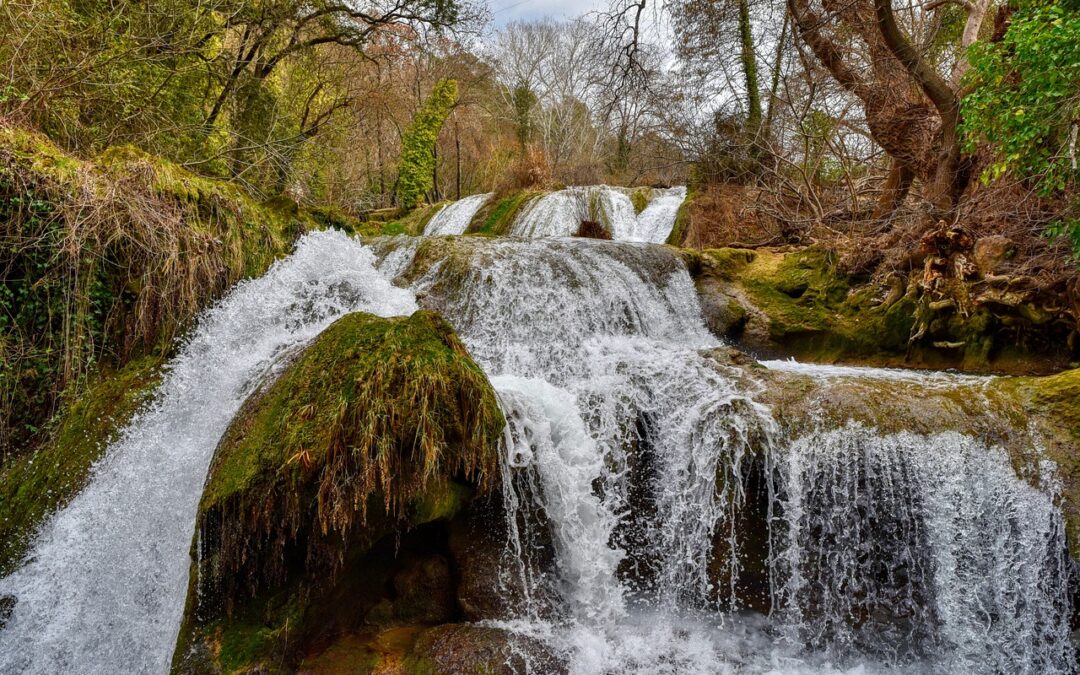 (ISLE OF MAN) DEATH DINNER & DRUIDS FORAGING (Ballaglass Glen) – July 19th Death or Dinner’ Wild Food and Storytelling