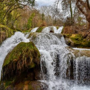 (ISLE OF MAN) DEATH DINNER & DRUIDS FORAGING (Ballaglass Glen) - July 19th Death or Dinner' Wild Food and Storytelling
