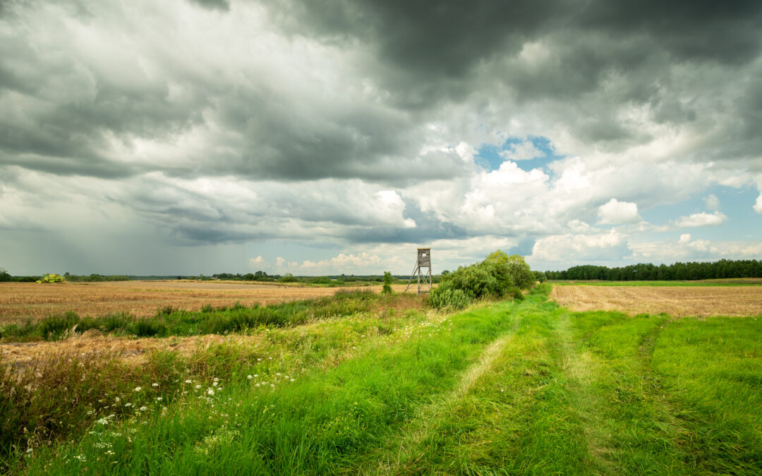 NORFOLK – DEATH, DINNER, WILD FOOD AND WILD STORIES (Blickling) – August 31st